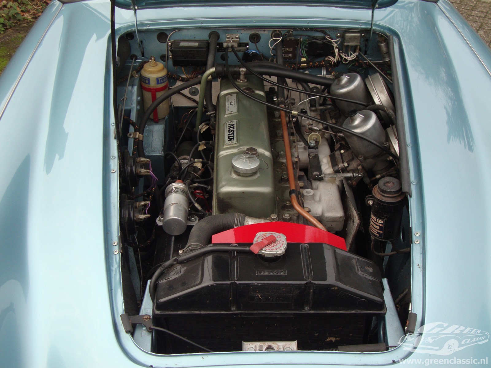 Austin Healey MKIII (1967) **VERKOCHT** - Afbeelding 3