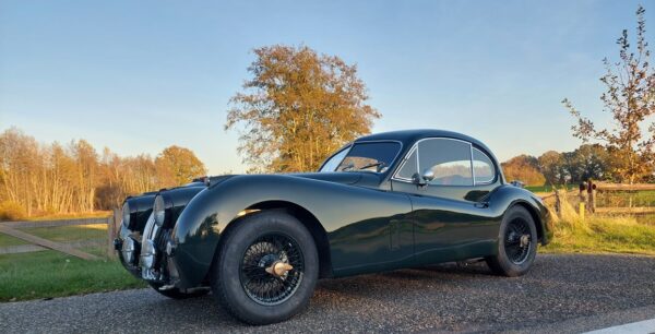 JAGUAR XK 140 FHC SE 1955 - Afbeelding 3