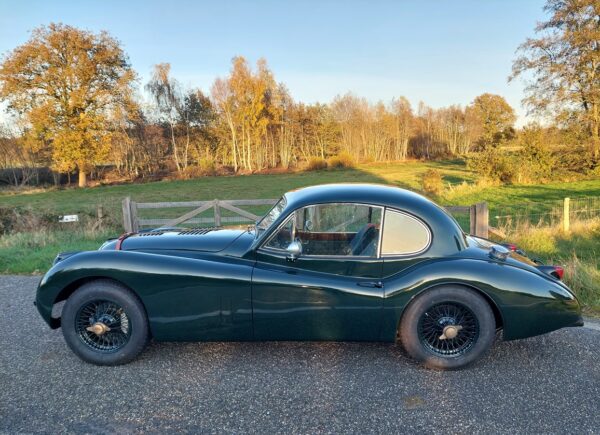 JAGUAR XK 140 FHC SE 1955 - Afbeelding 4